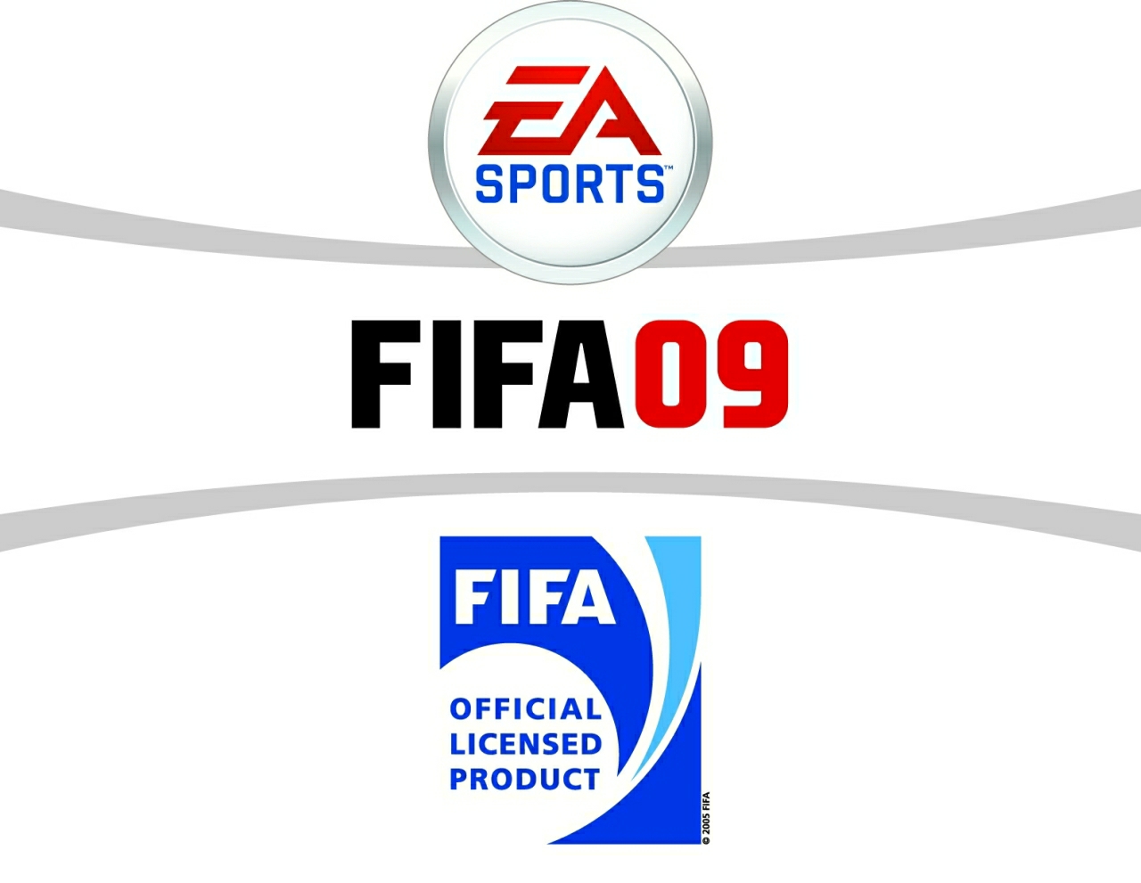 FIFA 09 - Imagen 2